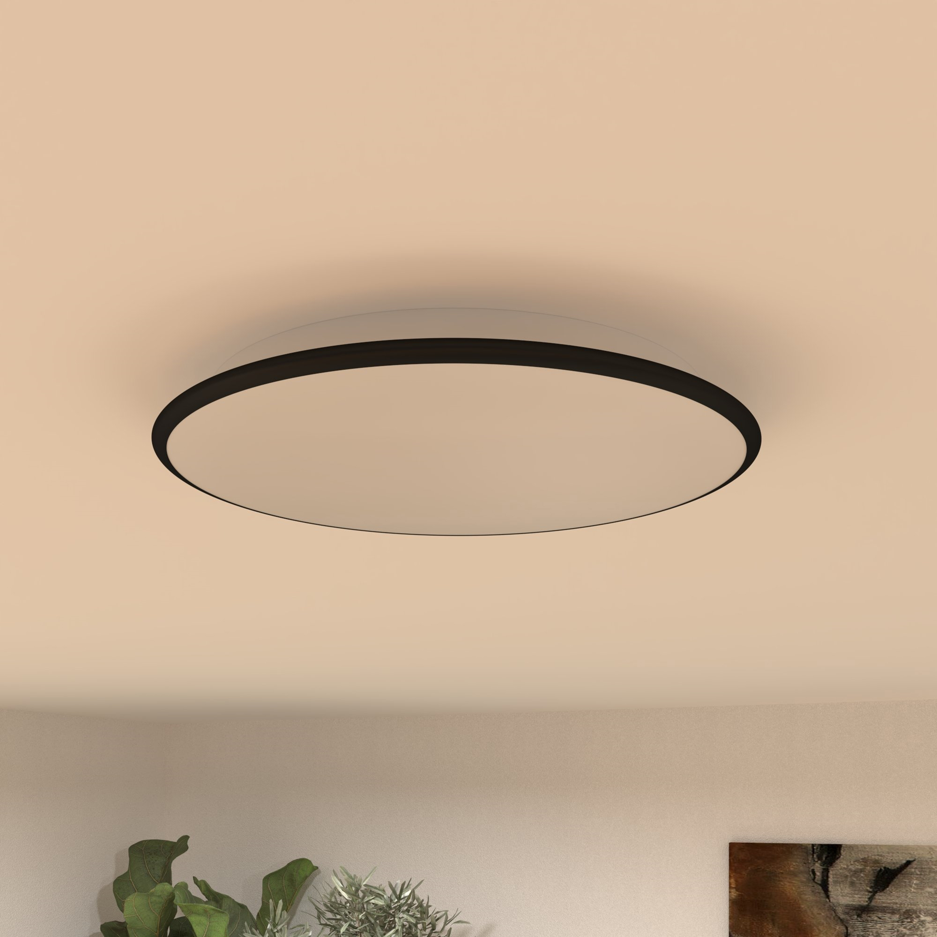 Plafonjera od 24 W Zorra lighting Everly (3000/4000/6500 K, IP20) bijela s crnim prstenom