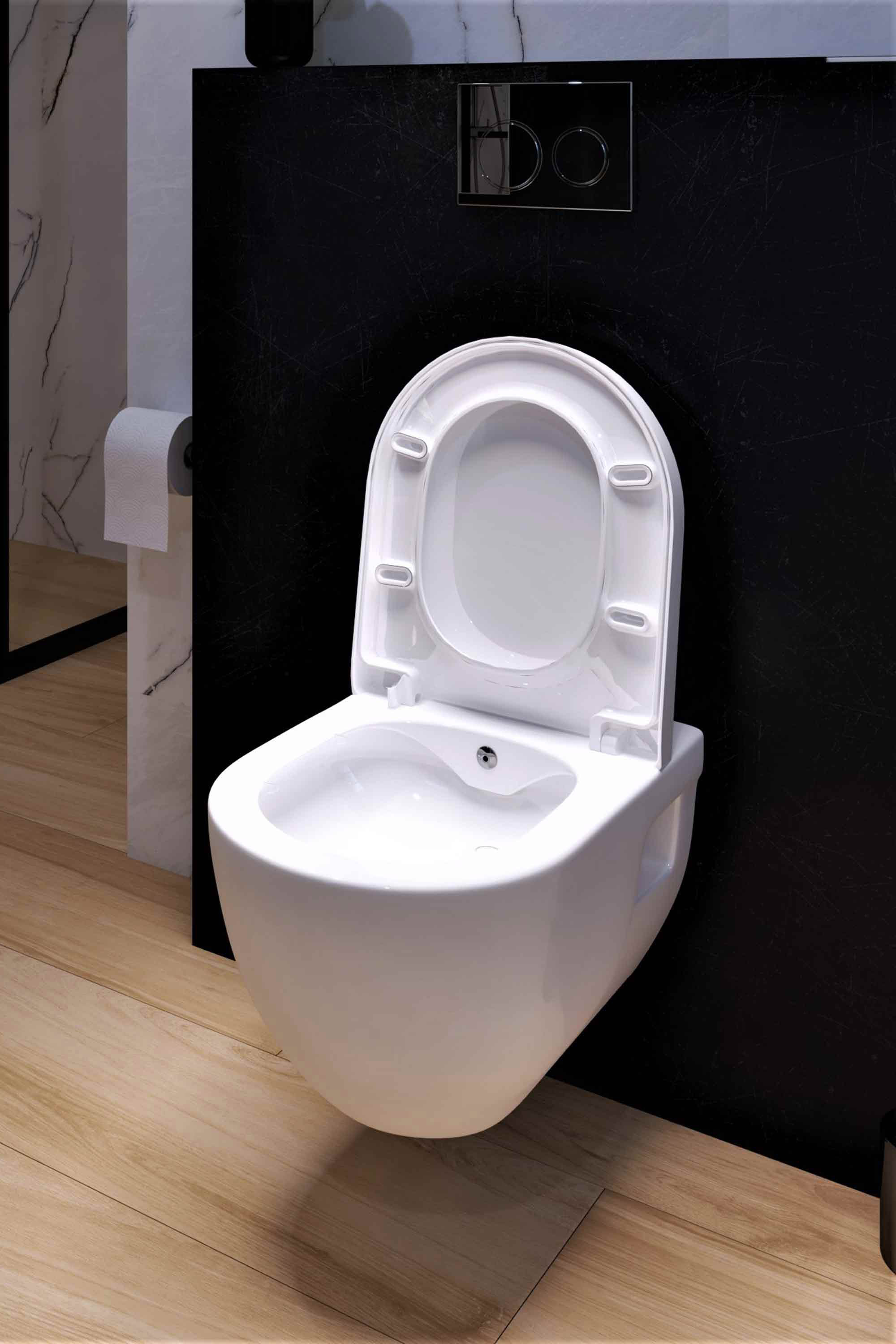 Toaletna školjka viseća sa funkcijom bidea Concepto Brilla Rimless, max. 6 L, 53 cm
